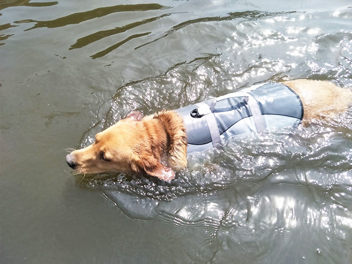 Pet Life Jacket Vest for Dogs &amp; Cats