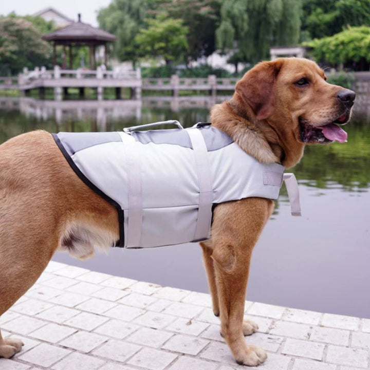 Pet Life Jacket Vest for Dogs &amp; Cats