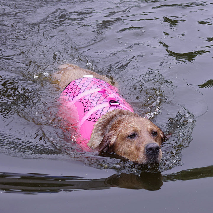 Pet Life Jacket Vest for Dogs &amp; Cats